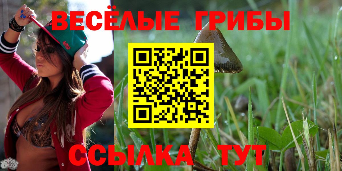 цена   Вход с VPN  Красногорск  Галлюциногенные грибы Psilocybine cubensis 