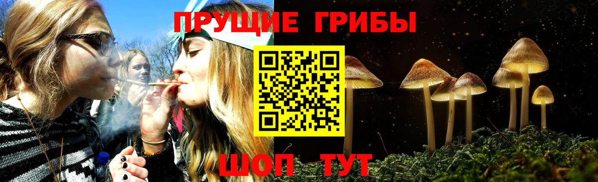 Галлюциногенные грибы MAGIC MUSHROOMS Красногорск